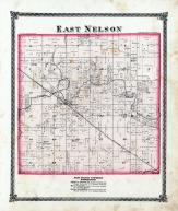 East Nelson Township, Okaw Creek, Farlow P.O., Moultrie County 1875